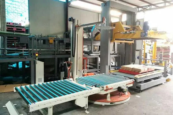 High speed low level palletizer (7)