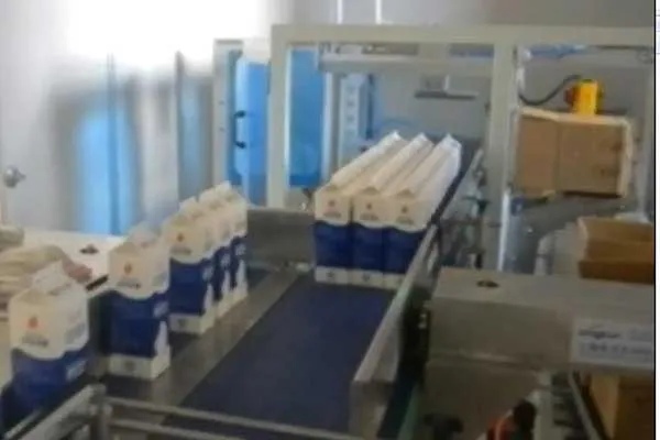 SIDE LOAD CASE PACKER 2 (1)