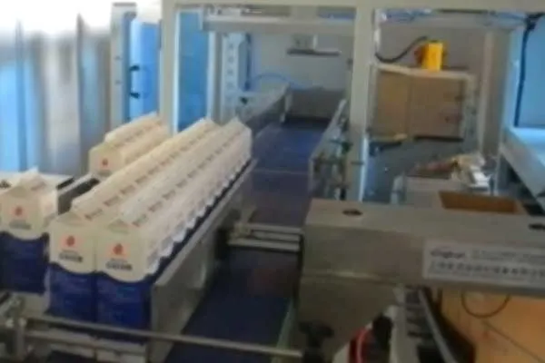 SIDE LOAD CASE PACKER 2 (2)