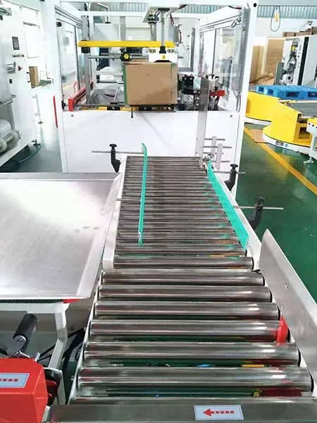 Semi-Automatic Case Erector (11)