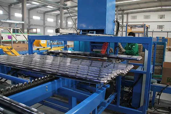 Semi Automatic Case Packer (3)