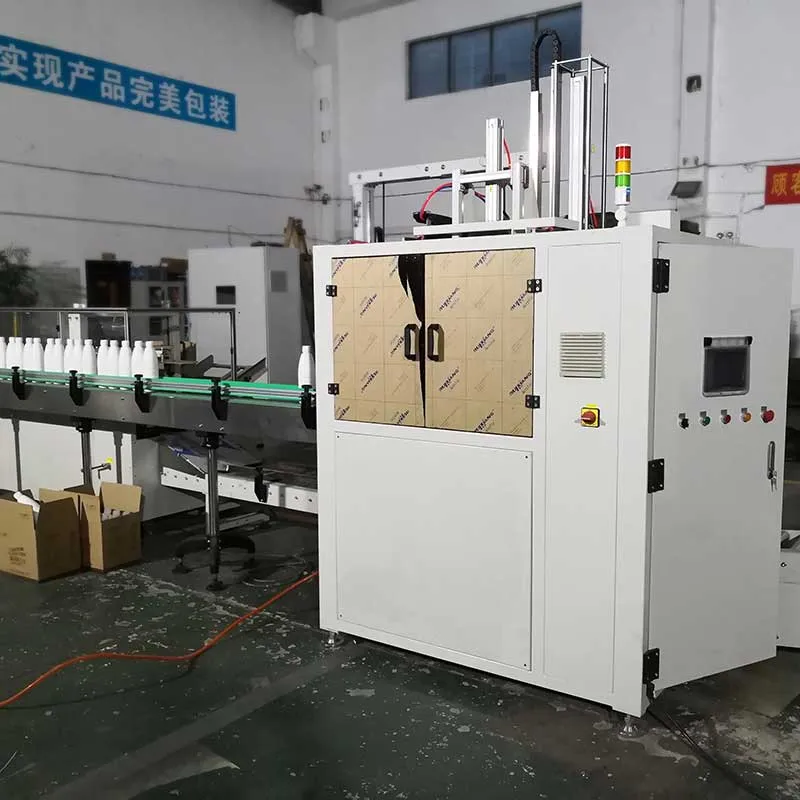 Semi Automatic Case Packer (5)