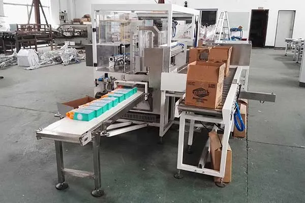Semi-Automatic-Case-Packer-9.j