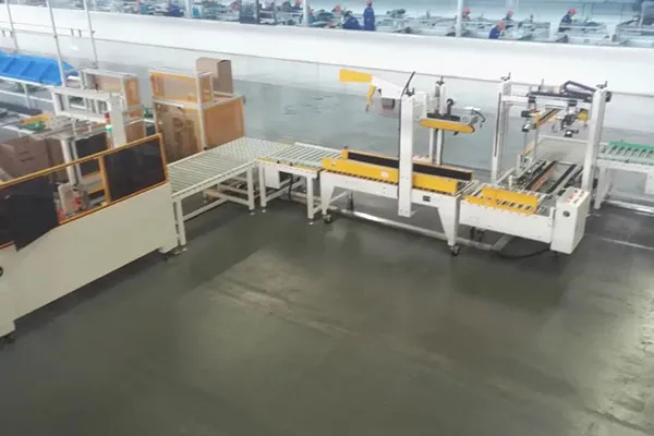 Semi-Automatic Random Case Sealers