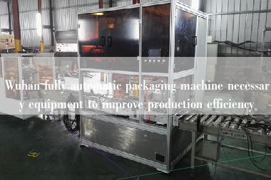 Wuhan fully automatic packaging machine necessary equipment to improve production efficiency