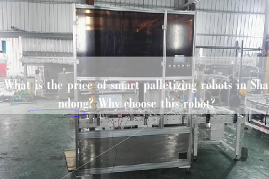 What is the price of smart palletizing robots in Shandong? Why choose this robot?