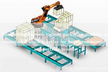 Small multi-function vacuum packaging machine recommended which is better for home, commercial and portable models