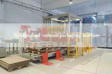 Sichuan food vacuum packaging machine