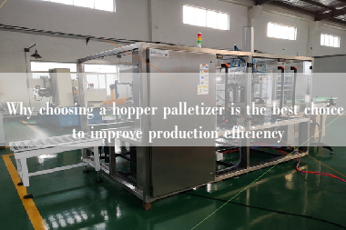 Why choosing a hopper palletizer is the best choice to improve production efficiency