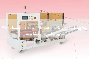Why choose us as a fully automatic carton bagging machine manufacturer
