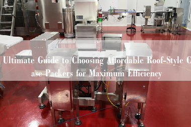 Ultimate Guide to Choosing Affordable Roof-Style Case Packers for Maximum Efficiency