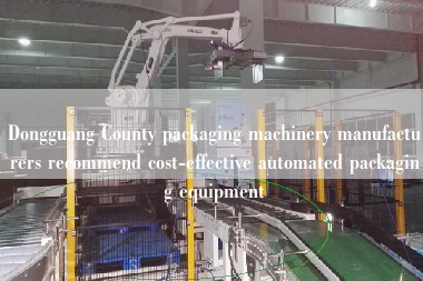 Dongguang County packaging machinery manufacturers recommend cost-effective automated packaging equipment
